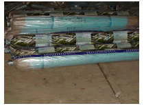 ����ר��Ĥ