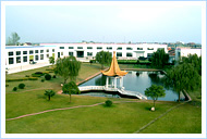 ��˾����