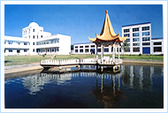 ��˾����